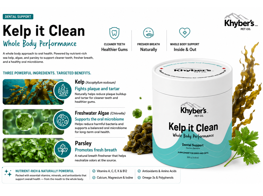 Kelp it Clean - Whole Body Performance - Dental Supplement - Image 4