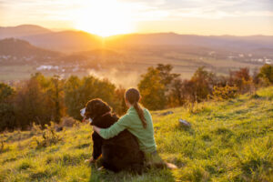 Rear view of female tourist with Bernese Mountain Dog enjoying idyllic view of landscape while sitting on grassy mountain during sunset