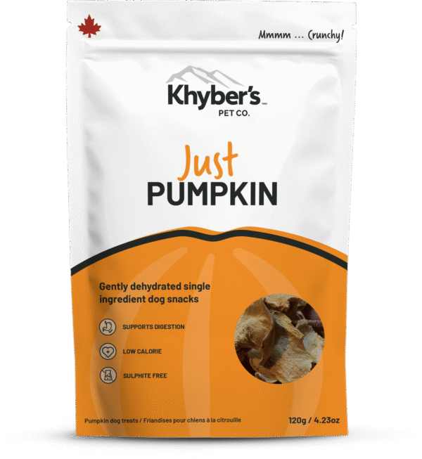 Just Pumpkin